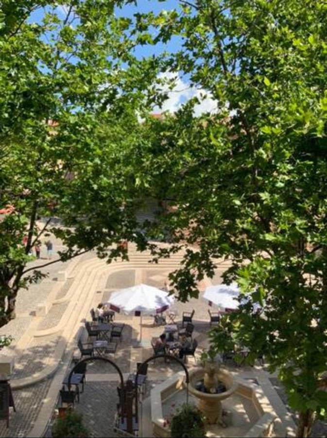 דירות Centre Historique De Frejus - Face A La Mairie מראה חיצוני תמונה